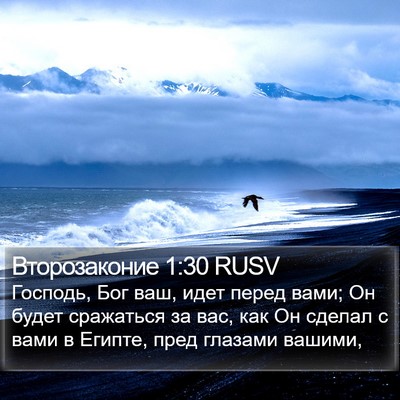 Второзаконие 1:30 RUSV Bible Verse Image
