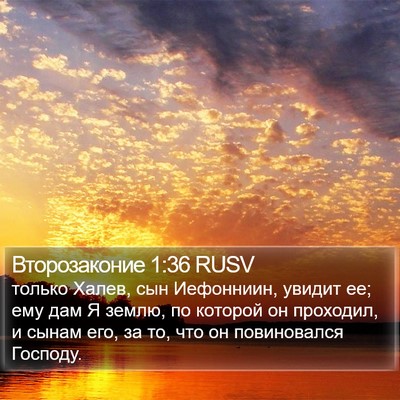 Второзаконие 1:36 RUSV Bible Verse Image
