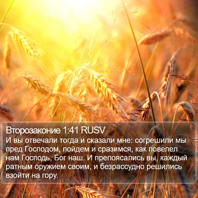 Второзаконие 1:41 RUSV Bible Verse Image