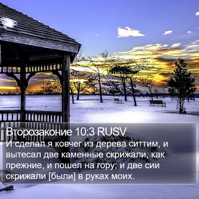Второзаконие 10:3 RUSV Bible Verse Image