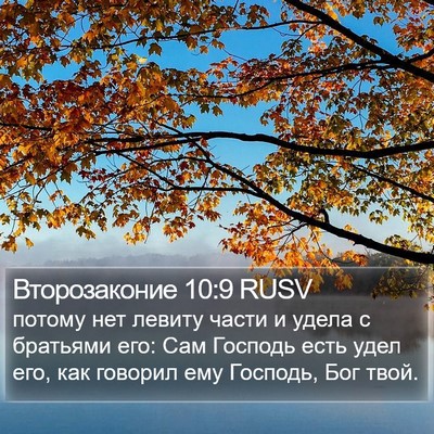 Второзаконие 10:9 RUSV Bible Verse Image