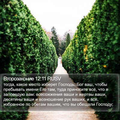 Второзаконие 12:11 RUSV Bible Verse Image