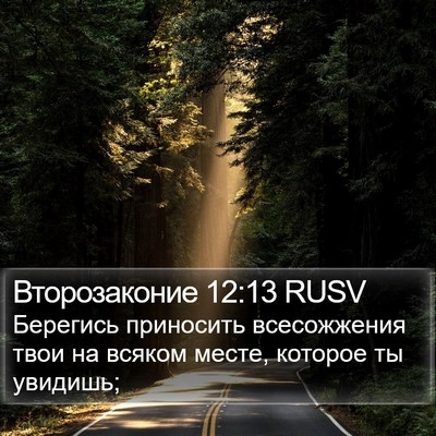 Второзаконие 12:13 RUSV Bible Verse Image