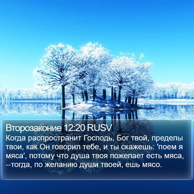 Второзаконие 12:20 RUSV Bible Verse Image