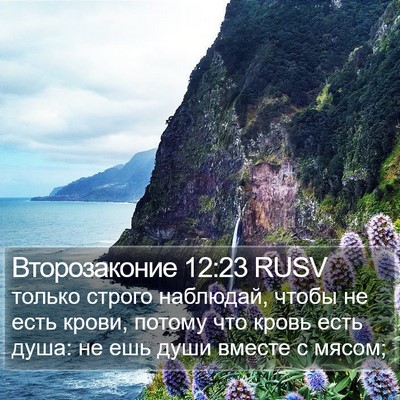 Второзаконие 12:23 RUSV Bible Verse Image