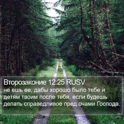 Второзаконие 12:25 RUSV Bible Verse Image