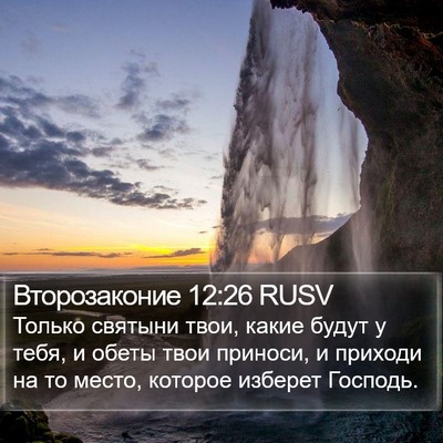 Второзаконие 12:26 RUSV Bible Verse Image