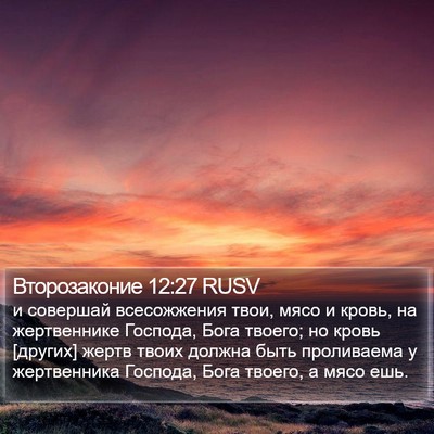 Второзаконие 12:27 RUSV Bible Verse Image