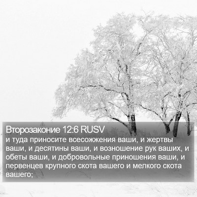 Второзаконие 12:6 RUSV Bible Verse Image