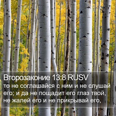 Второзаконие 13:8 RUSV Bible Verse Image