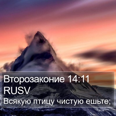 Второзаконие 14:11 RUSV Bible Verse Image