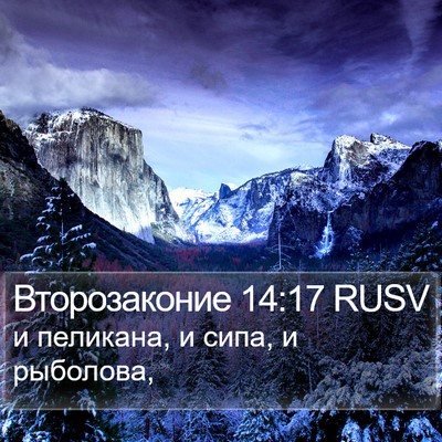 Второзаконие 14:17 RUSV Bible Verse Image