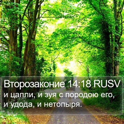 Второзаконие 14:18 RUSV Bible Verse Image