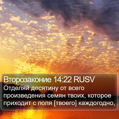 Второзаконие 14:22 RUSV Bible Verse Image