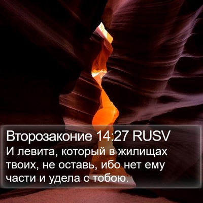 Второзаконие 14:27 RUSV Bible Verse Image