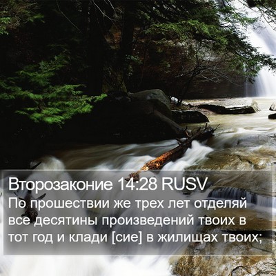 Второзаконие 14:28 RUSV Bible Verse Image