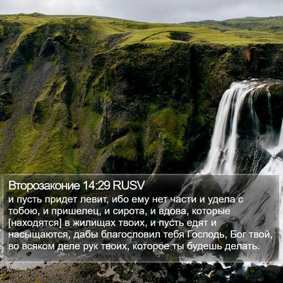 Второзаконие 14:29 RUSV Bible Verse Image