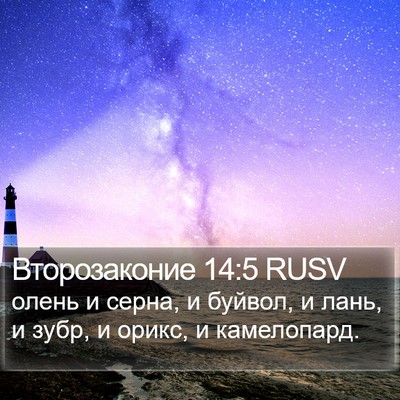 Второзаконие 14:5 RUSV Bible Verse Image