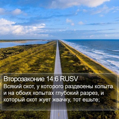 Второзаконие 14:6 RUSV Bible Verse Image