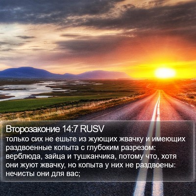 Второзаконие 14:7 RUSV Bible Verse Image