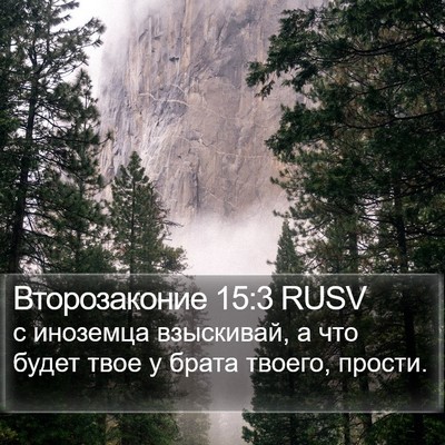 Второзаконие 15:3 RUSV Bible Verse Image