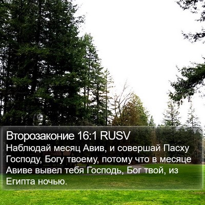 Второзаконие 16:1 RUSV Bible Verse Image