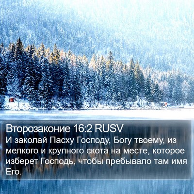 Второзаконие 16:2 RUSV Bible Verse Image