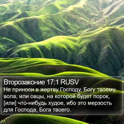 Второзаконие 17:1 RUSV Bible Verse Image