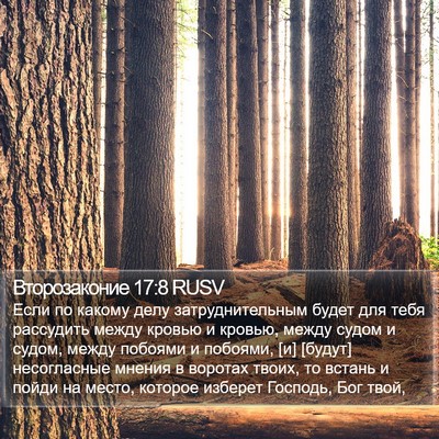 Второзаконие 17:8 RUSV Bible Verse Image