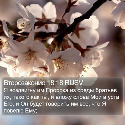 Второзаконие 18:18 RUSV Bible Verse Image