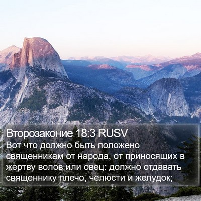 Второзаконие 18:3 RUSV Bible Verse Image