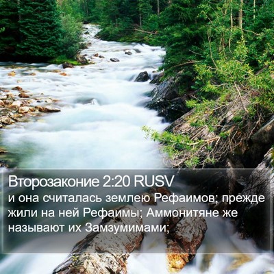 Второзаконие 2:20 RUSV Bible Verse Image