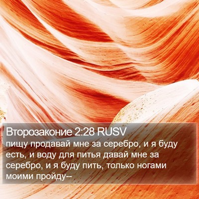 Второзаконие 2:28 RUSV Bible Verse Image