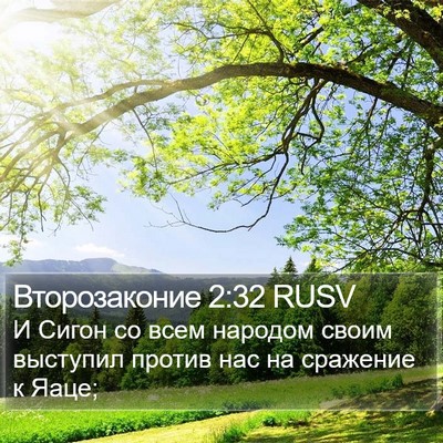 Второзаконие 2:32 RUSV Bible Verse Image