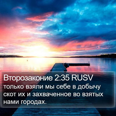 Второзаконие 2:35 RUSV Bible Verse Image
