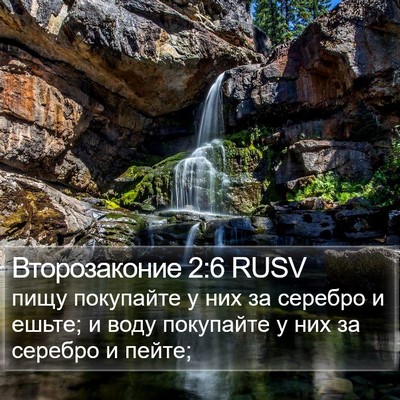 Второзаконие 2:6 RUSV Bible Verse Image