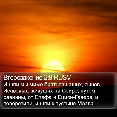 Второзаконие 2:8 RUSV Bible Verse Image