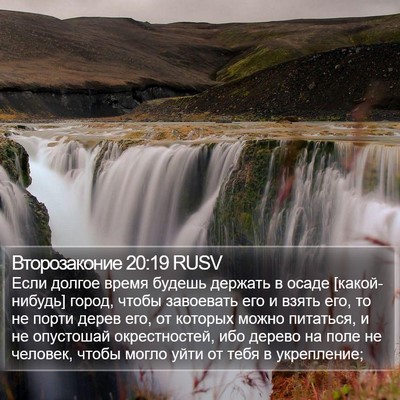 Второзаконие 20:19 RUSV Bible Verse Image