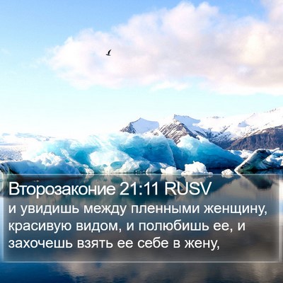 Второзаконие 21:11 RUSV Bible Verse Image