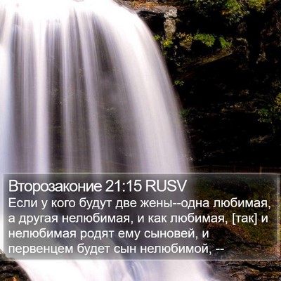 Второзаконие 21:15 RUSV Bible Verse Image