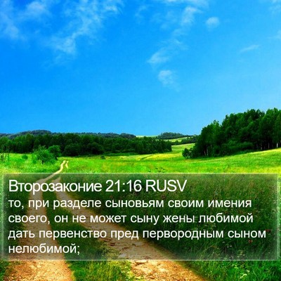 Второзаконие 21:16 RUSV Bible Verse Image