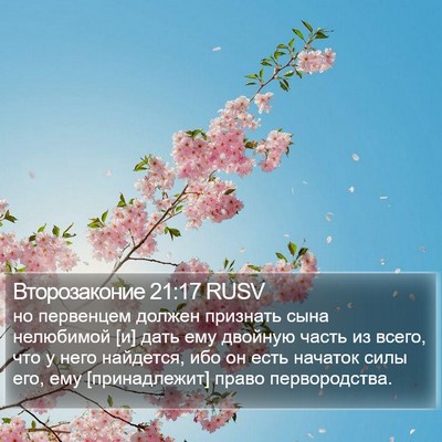 Второзаконие 21:17 RUSV Bible Verse Image