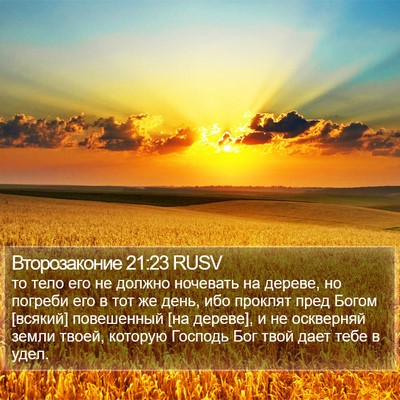 Второзаконие 21:23 RUSV Bible Verse Image