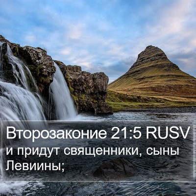 Второзаконие 21:5 RUSV Bible Verse Image