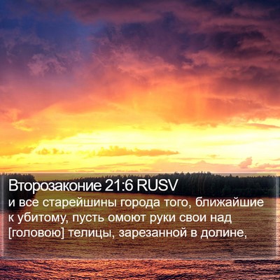 Второзаконие 21:6 RUSV Bible Verse Image