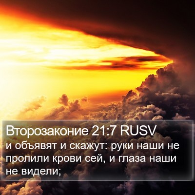 Второзаконие 21:7 RUSV Bible Verse Image