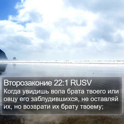 Второзаконие 22:1 RUSV Bible Verse Image
