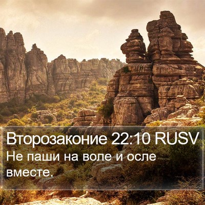 Второзаконие 22:10 RUSV Bible Verse Image