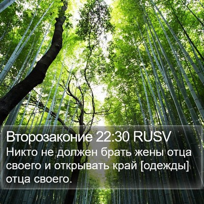 Второзаконие 22:30 RUSV Bible Verse Image