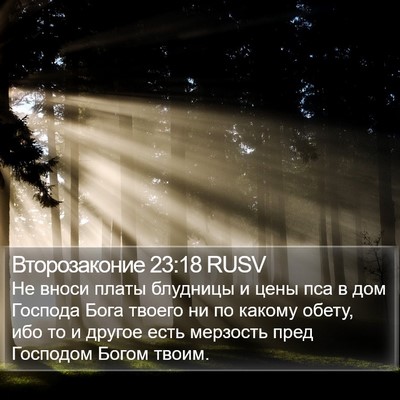 Второзаконие 23:18 RUSV Bible Verse Image